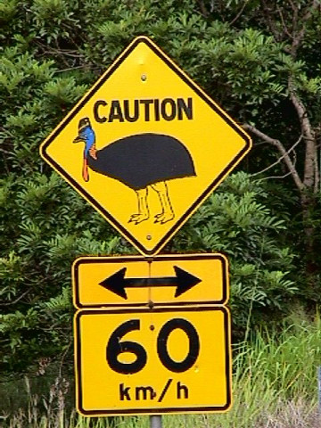 Cassowary Sign